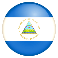 Venezuela baseball Logo