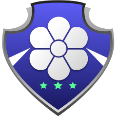 ECI Flag