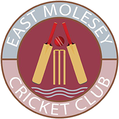 ESM Flag