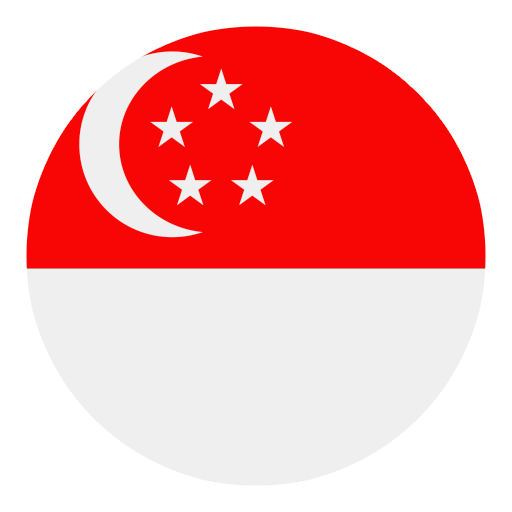 Singapore football Logo