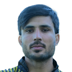Noor Wali Bahadar