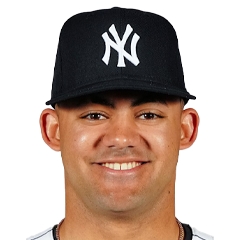Jasson Dominguez