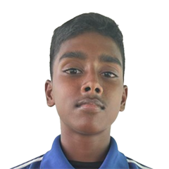 Nagineswaran Sathnakumaran