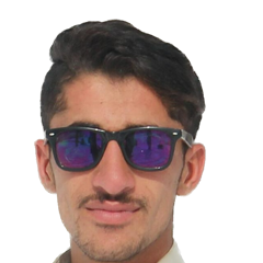 Hassan Mustafa Shah